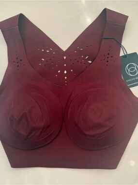 NWT Evelyn & Bobbie Seamless Wireless Bra - Deep Burgundy